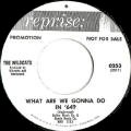 Wildcats - What Are We Gonna Do In '64? - Reprise 0253