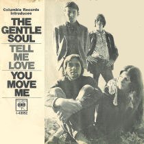 Gentle Soul picture sleeve